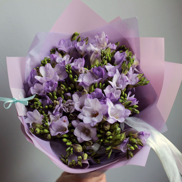 Lilac Freesia - 49 фрезий