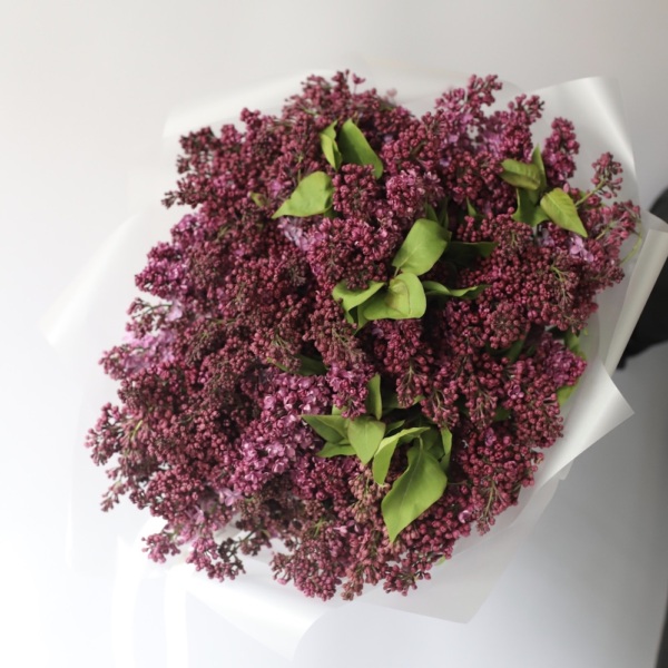 Local Lilac - Размер M