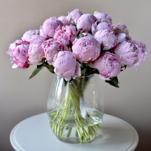 Pink Peonies in a vase - 19 пионов