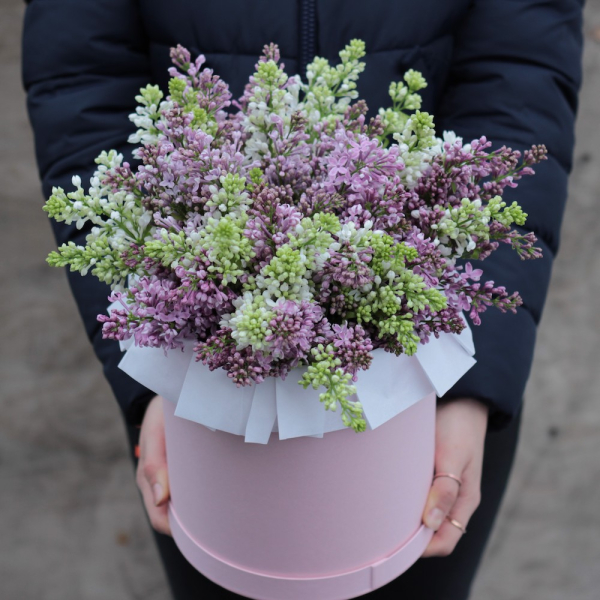 Lilac in a hat box - Размер M