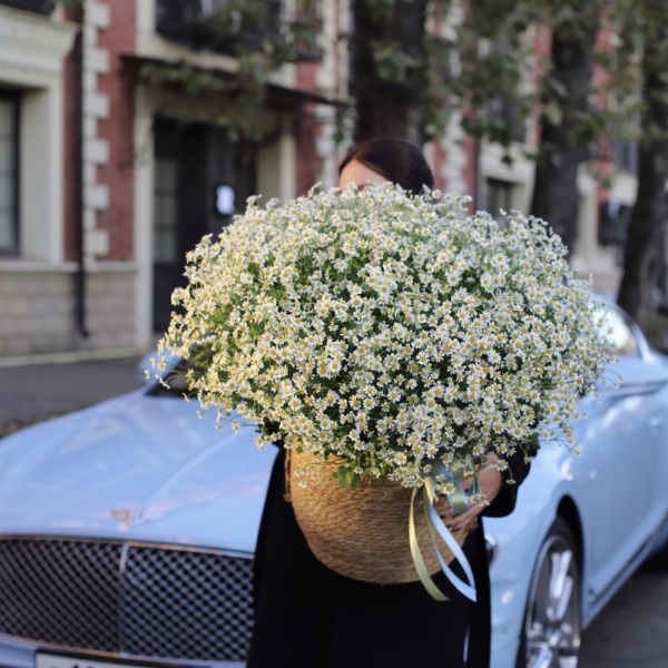 Basket of Spray Daisies -  Размер L 