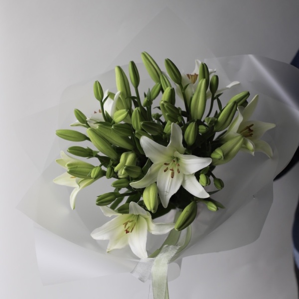 Lily -  9 лилий 