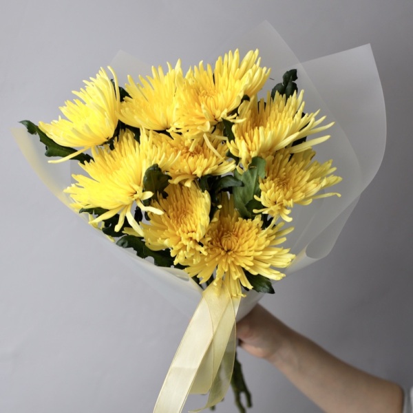 Yellow Chrysanthemum -  9 хризантем  