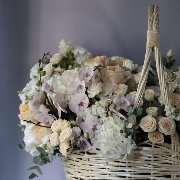 White Signature basket -  Размер 3XL 