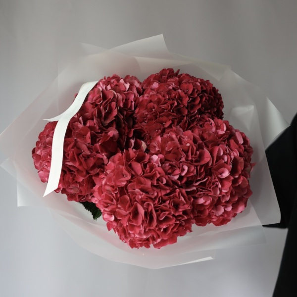 Red Hydrangea -  5 гортензий 