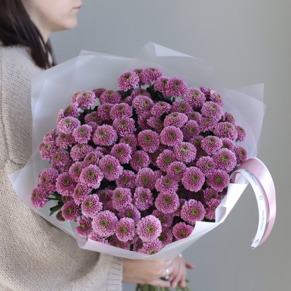 Spray Chrysanthemum - 25 кустовых хризантем