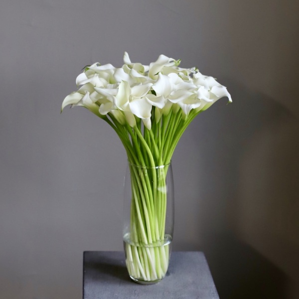 Calla Lilies in a vase - 49 калл