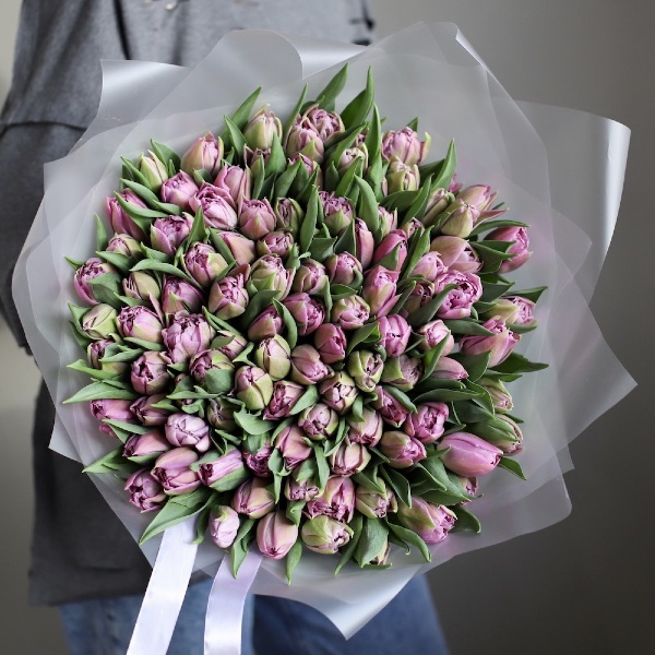 Lilac Tulips - 99 тюльпанов