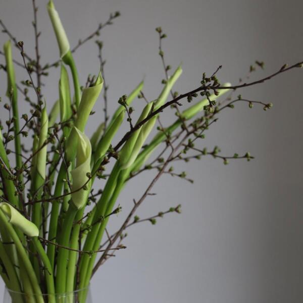 A bouquet of calla lilies and spring branches in a vase - Размер M