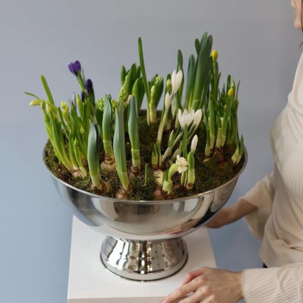 Spring flowers in a metal bowl