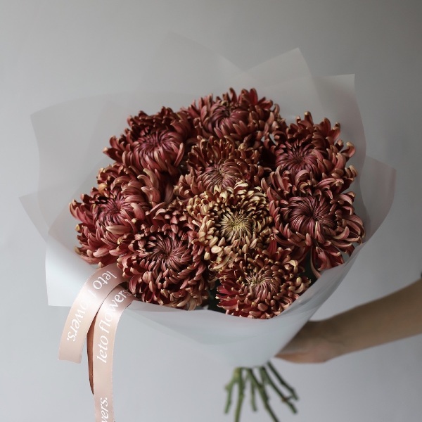 Chocolate Chrysanthemum - 9 хризантем