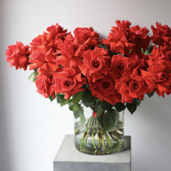 Nina roses in a vase - 49 роз