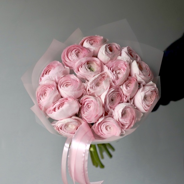 Light-Pink Ranunculus - 19 ранункулюсов 