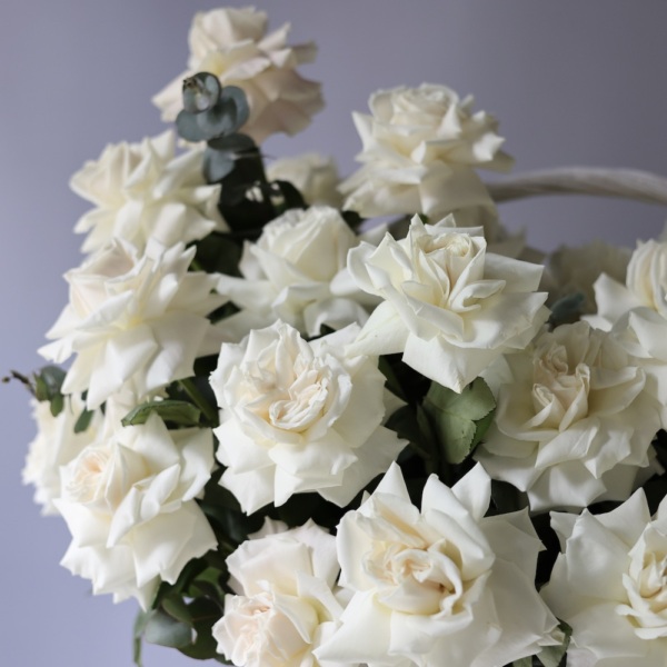 Basket of roses "Creamy Gelato" - Размер L