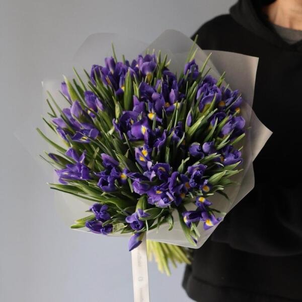 Iris - 99 ирисов