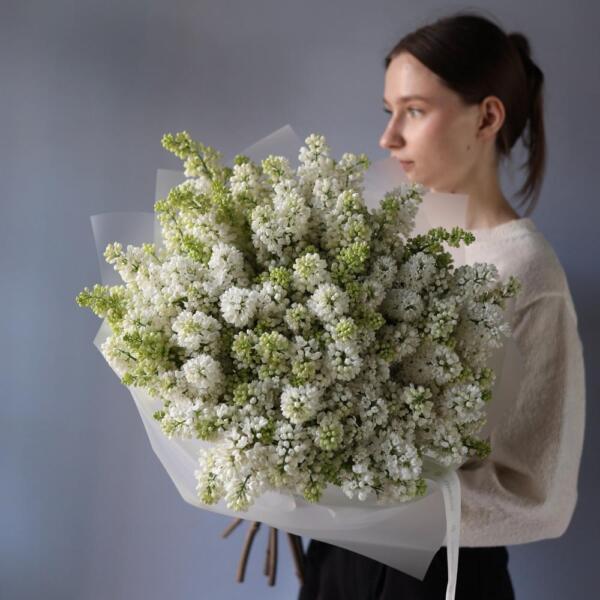 White Lilac - 19 веток сирени