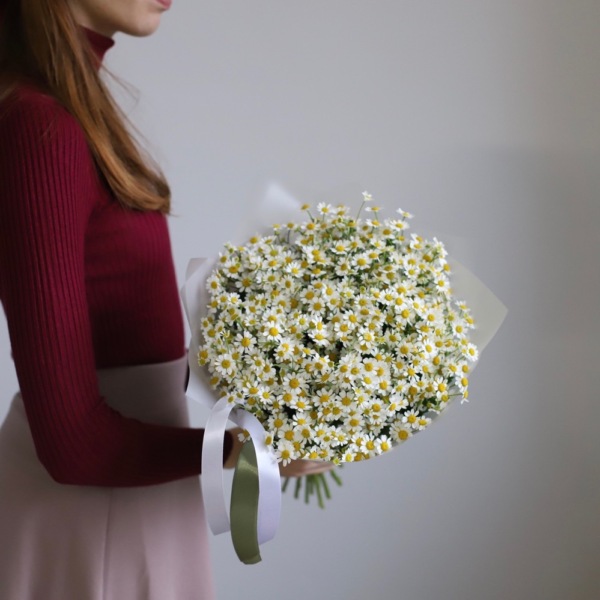 Chamomile - 25 ромашек