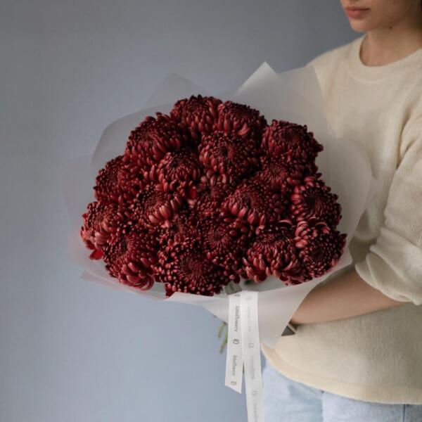 Chocolate Chrysanthemum - 19 хризантем