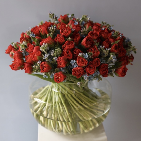 Tulips with Oxypetalum in a vase - Размер L