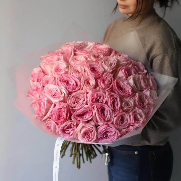 Pink Ohara Garden Rose - 47 роз