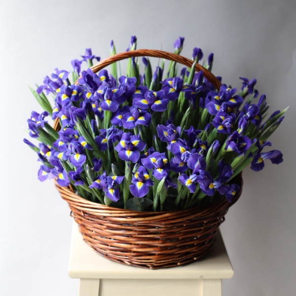 Irises in basket - Размер L