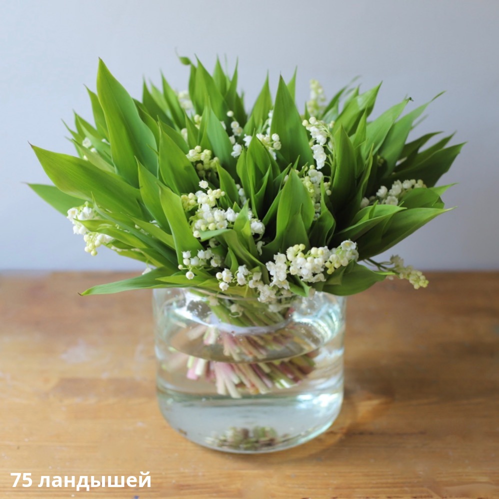 Lilies of the Valley in a vase Lilies of the Valley in a vase -  75 ландышей
