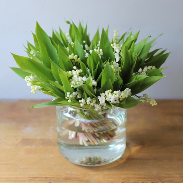 Lilies of the Valley in a vase - 75 ландышей