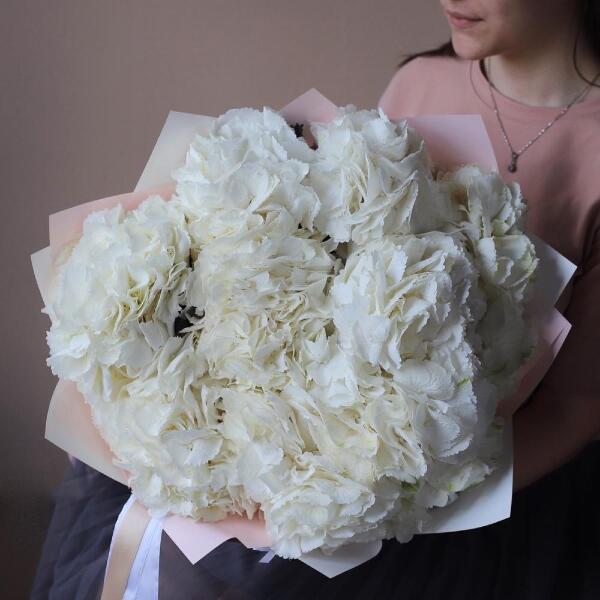 White Hydrangea - 11 гортензий