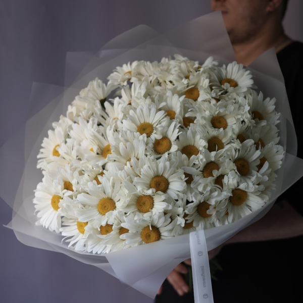 Large Chamomile - 75 ромашек