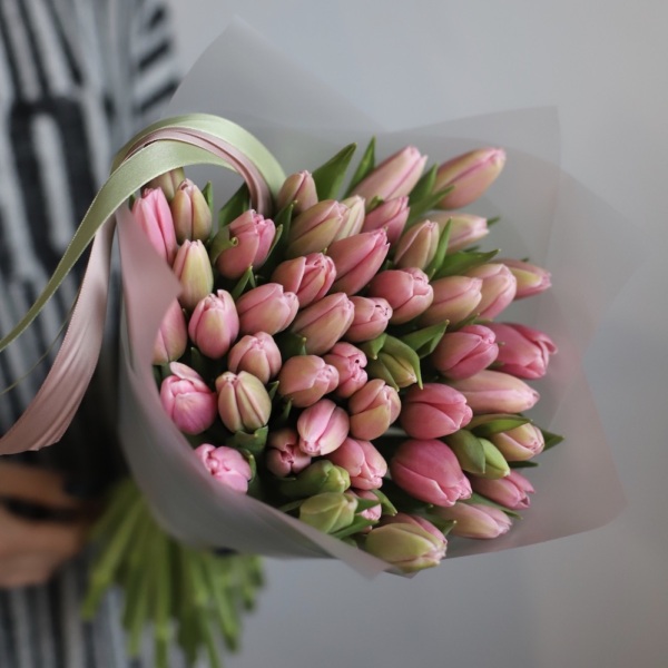 Light-pink Tulips -  49 тюльпанов 