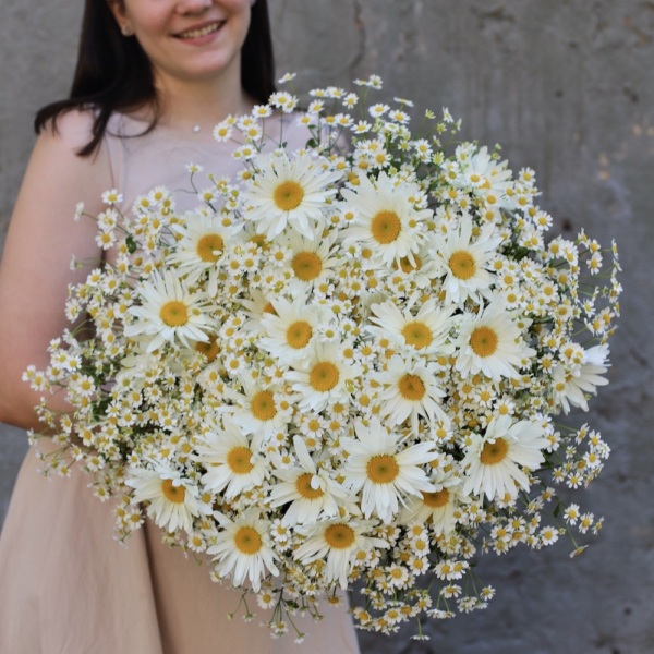 Bouquet of large and spray Chamomile - Размер M