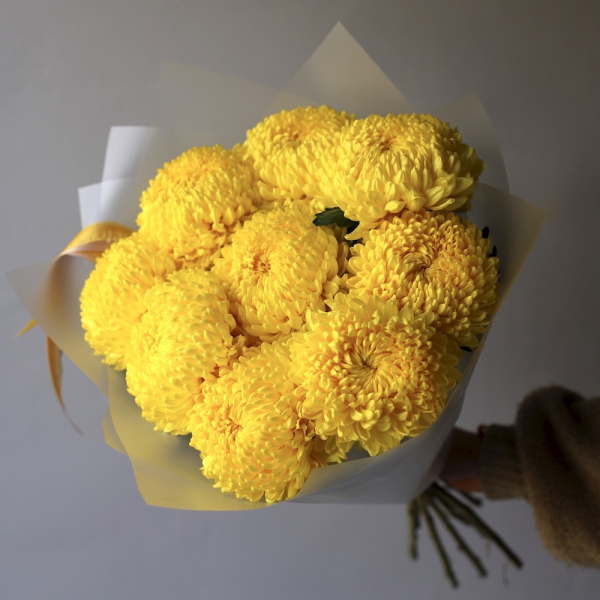 Large yellow Chrysanthemum - 9 хризантем