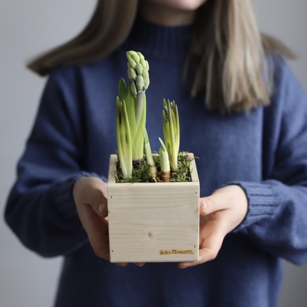 Весенние цветы в ящике - Размер XS