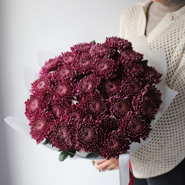 Violet Chrysanthemum - 29 хризантем