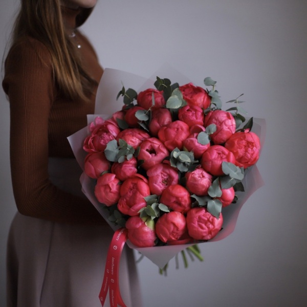 Coral Peony -  25 пионов 