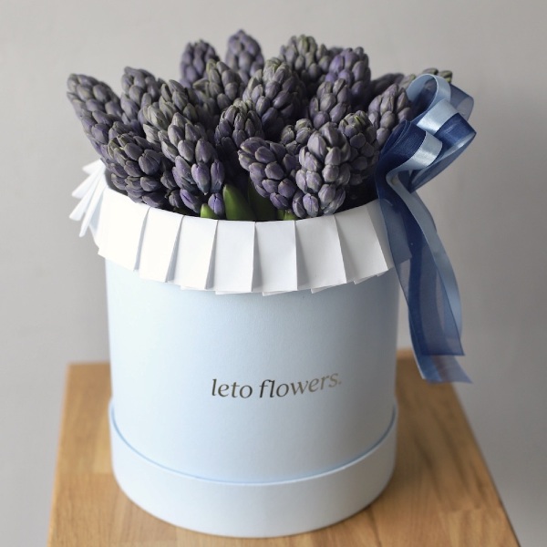 Hyacinthus in hat box - Размер M