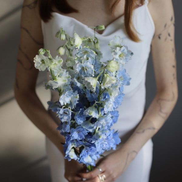 “Bridal bouquet of Delphinium”
