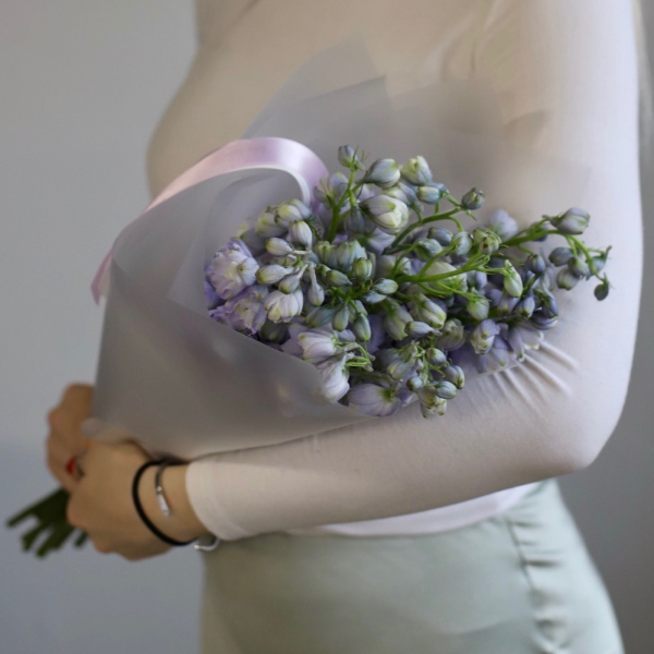 Lavender Delphinium Lavender Delphinium - 9 дельфиниумов