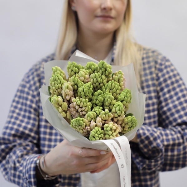 Pink Hyacinthus - 25 гиацинтов
