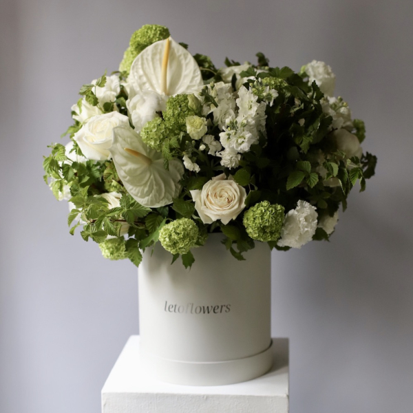 "Apple Fresh" Compliment in a hat box - Размер L