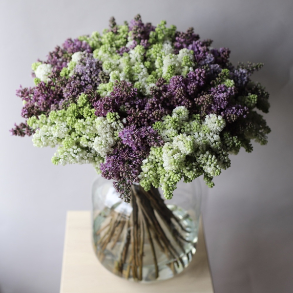 Lilac in a vase - 39 веток сирени