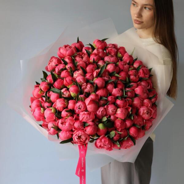 Coral Peony - 101 пионов