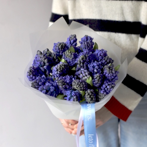 Blue Hyacinthus - 25 гиацинтов