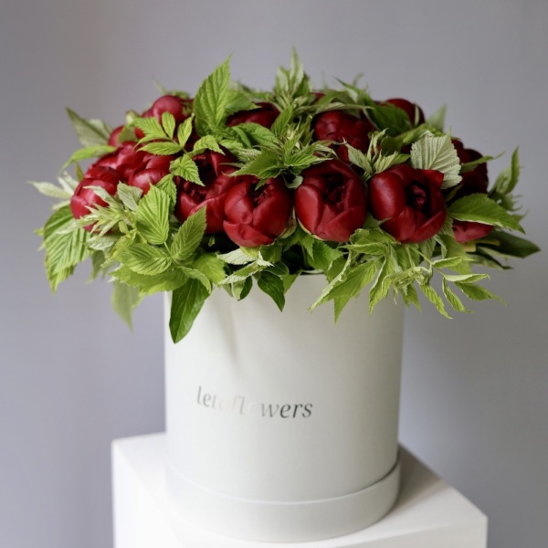 Burgundy Peonies in a hat box -  Размер L 