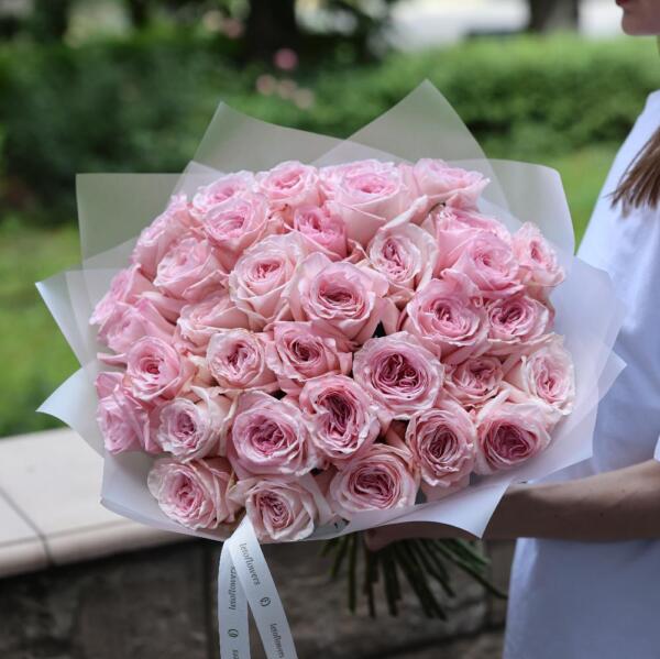 Pink Ohara Garden Rose - 35 роз