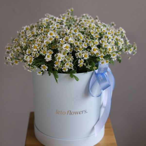 Daisies in a hat box - Размер L