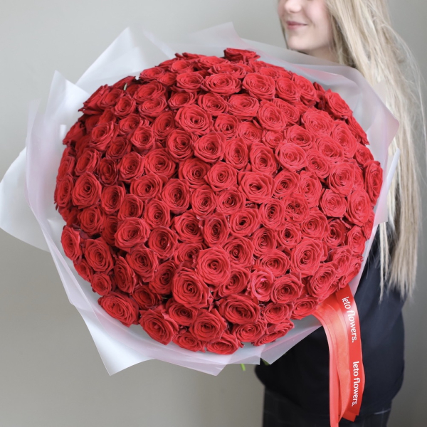 Red roses - 151 роза