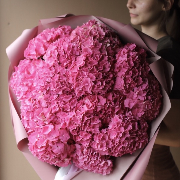 Bright pink Hydrangea - 15 гортезий