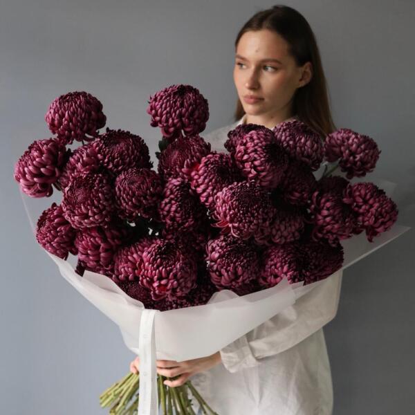 Violet Chrysanthemum - 29 хризантем