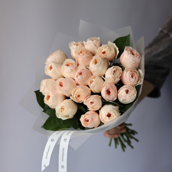 Juliet David Austin Rose -  23 розы 